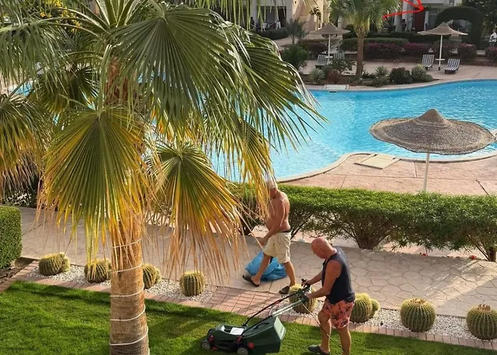 Luxus-apartment Sunny Lakes 1 Direkt Am Pool 65 M2 Nun Auch Für Langzeitmieter Buchbar Sharm El-Sheikh